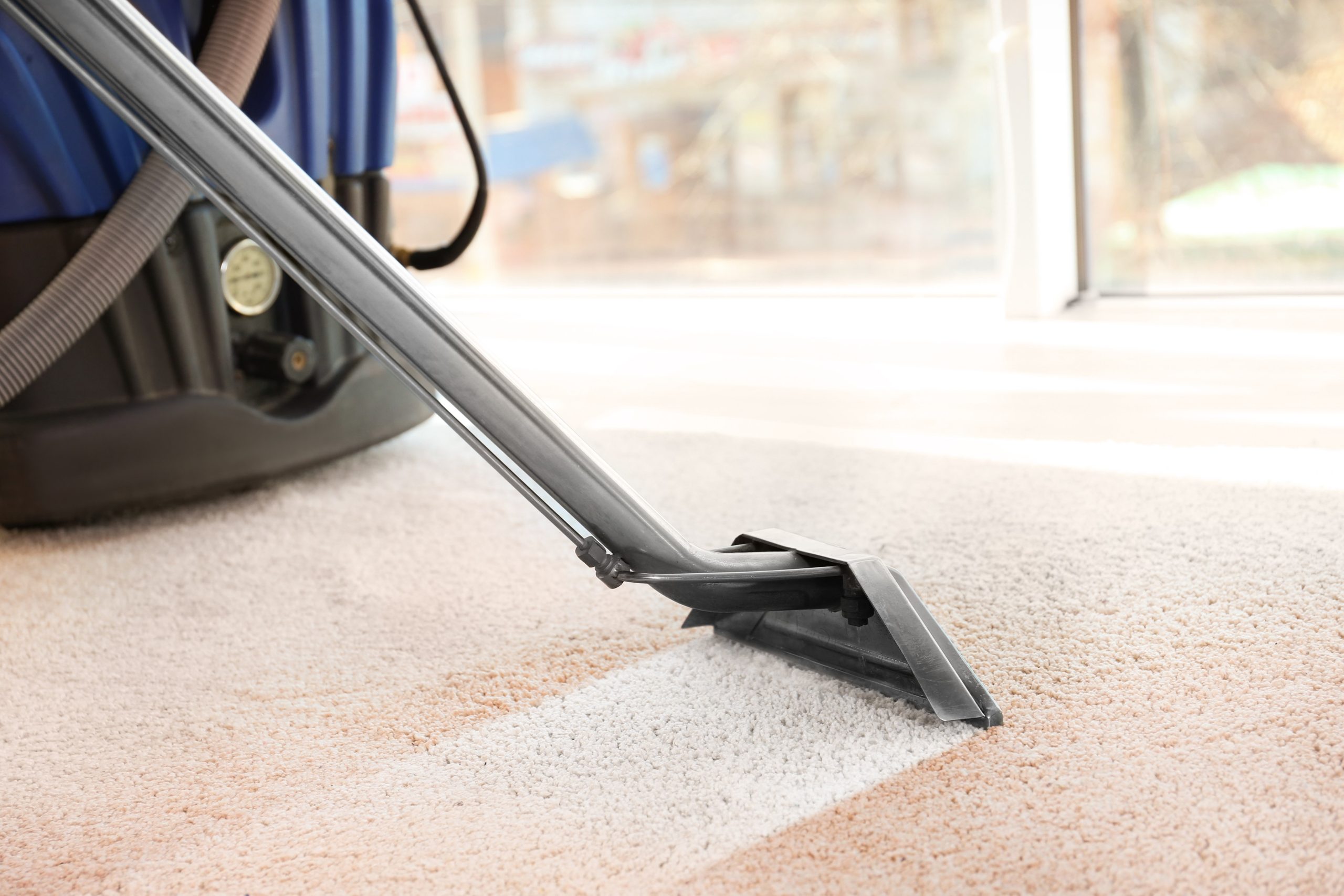 Discover The Best Carpet Cleaning Tips For A Fresh Home